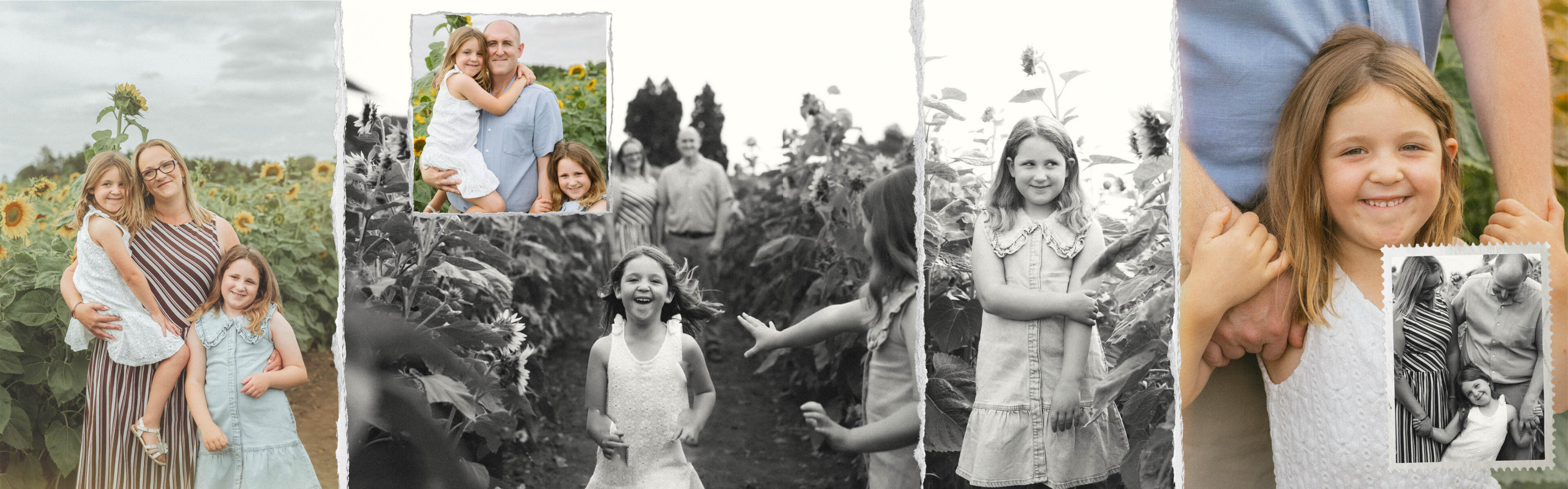 Mini Session Pictures by Lincoln Family Photographer Camila Clarke Happy family during sunflower mini sessions with Camila Clarke